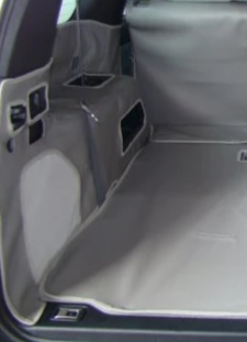 2019 Toyota Sienna Custom Sides