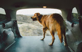 2011-2017 Jeep Grand Cherokee Ultimate Pet Liner