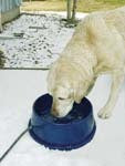 THERMO WATER BOWL