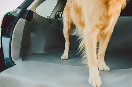 Custom Cargo Liner with dog in the back